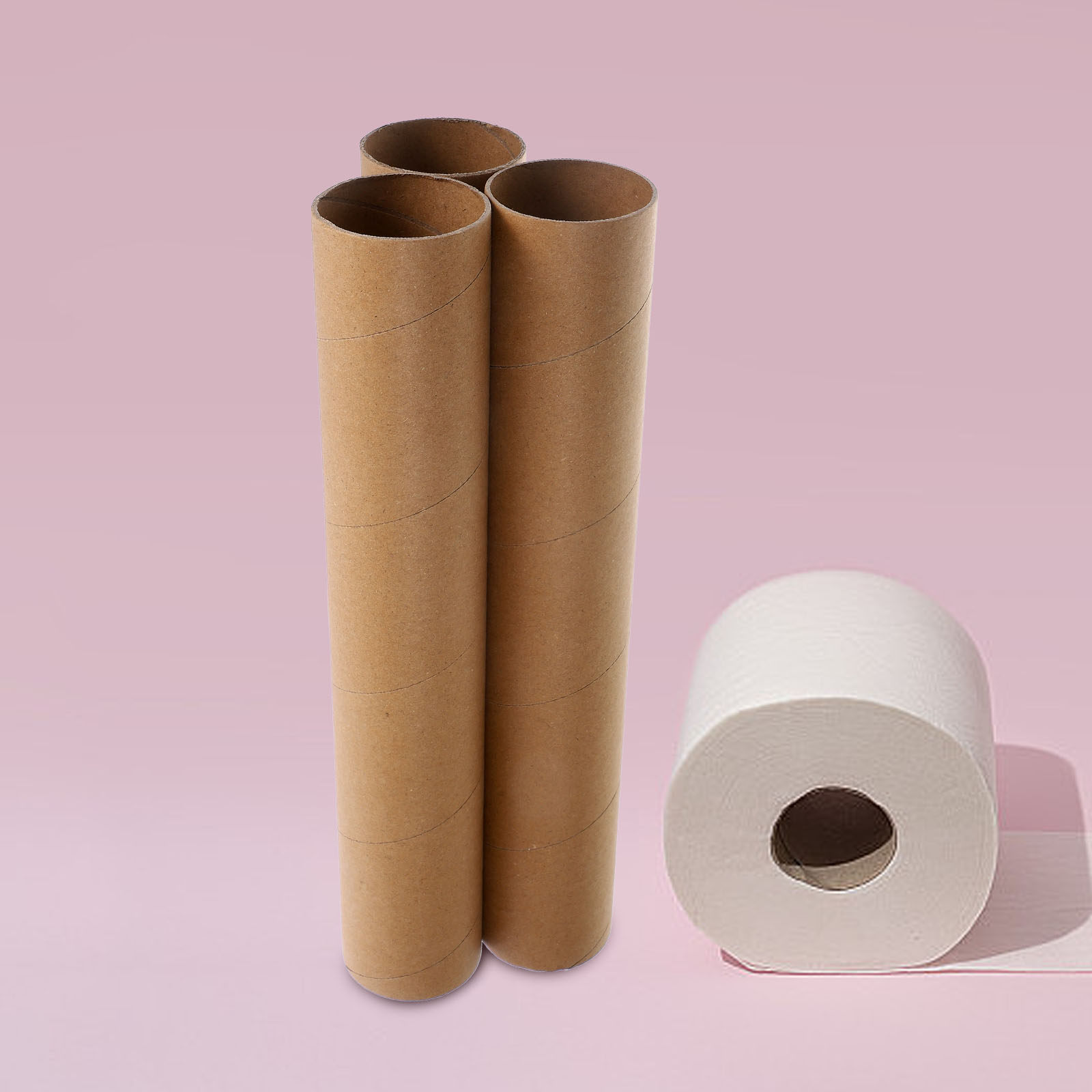 Art Craft Education - 3 tubes de papier vierges, rouleaux