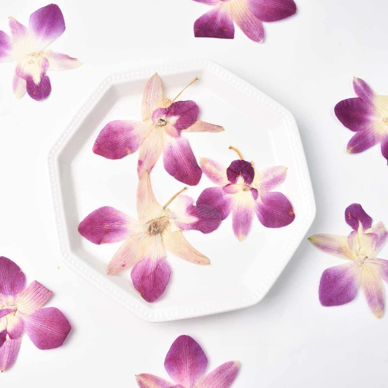 Art Craft Website - 4 pièces, véritables fleurs d'orchidée papillon