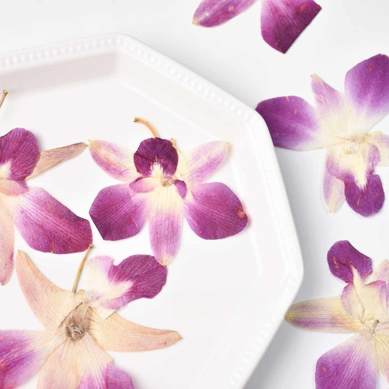 4 pièces, véritables fleurs d' - Art Craft Website avis et prix