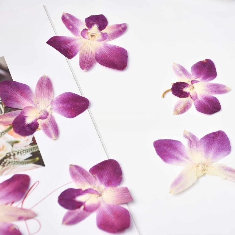 4 pièces, véritables fleurs d' - Art Craft Website avis et prix