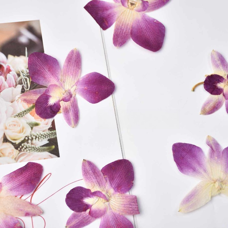 4 pièces, véritables fleurs d' - Art Craft Website avis et prix